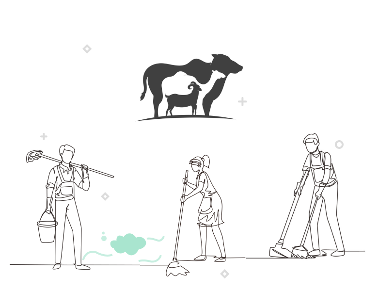 Eid-ul-Adha Cleanlines Activities 2025